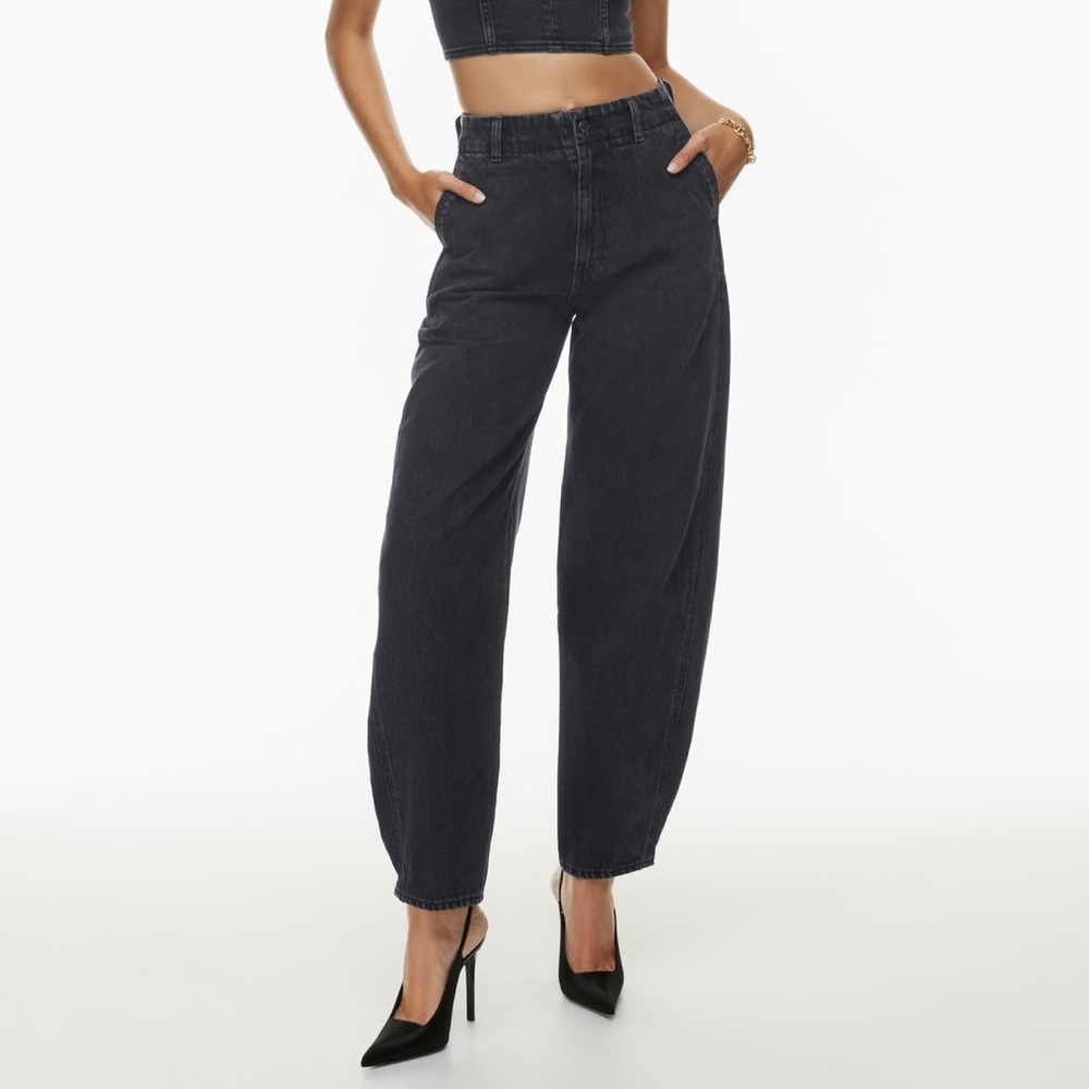 Aritzia Denim Forum '90s Lana Hi-Rise Baggy Trouser Jean 23W (Black Eyeliner)